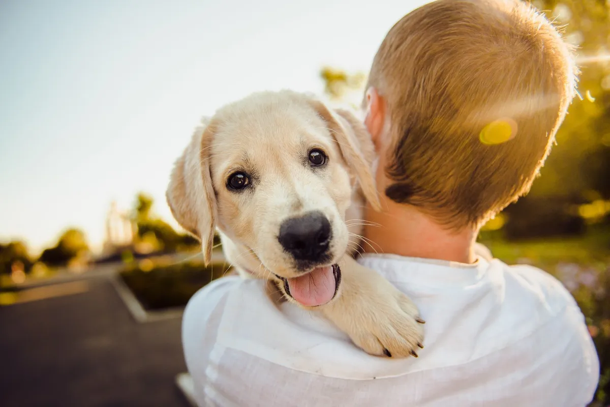 Os Benefícios de Ter um Cachorro para a Saúde Mental