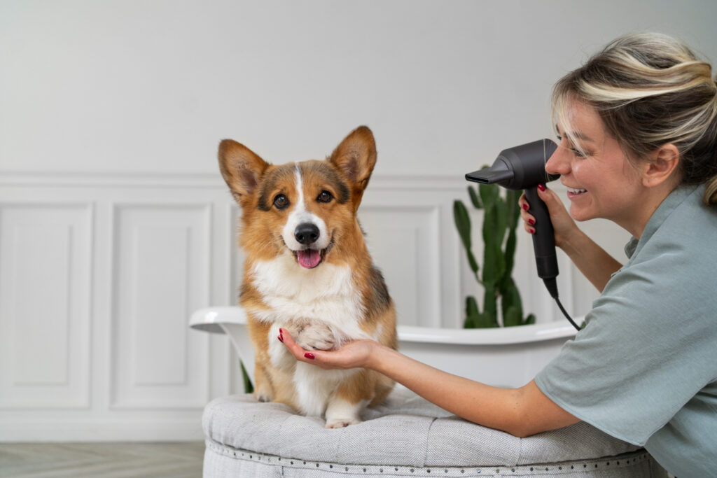 Os Melhores Métodos de Higiene para Cachorros: Guia Completo