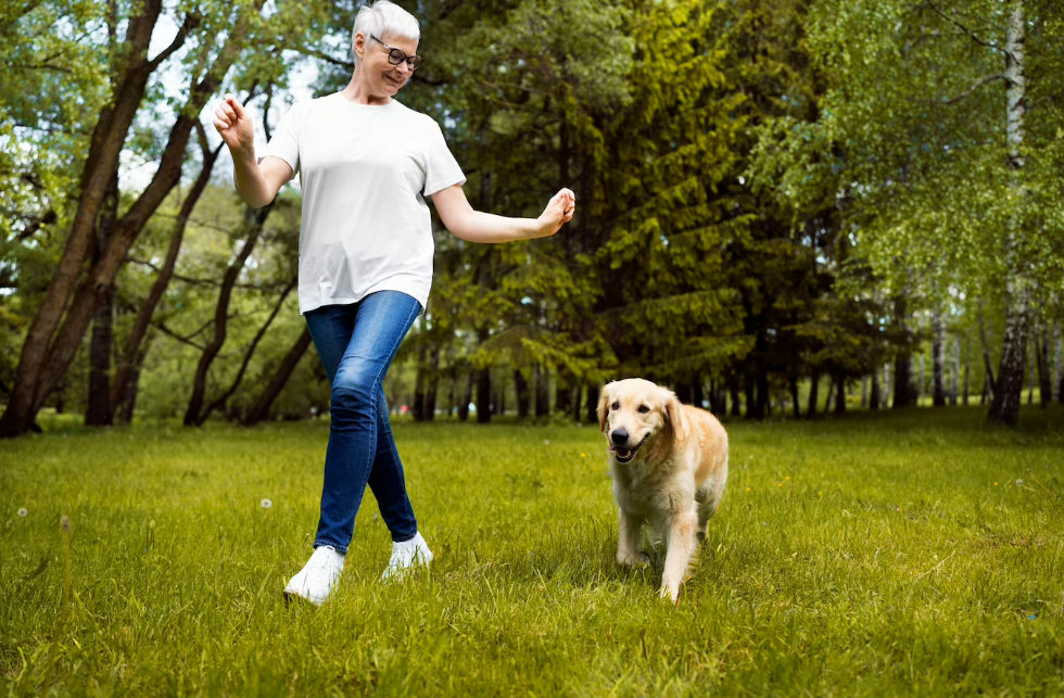 Como ensinar seu cachorro a não pular nas pessoas: Guia Completo